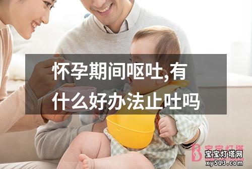 怀孕期间呕吐,有什么好办法止吐吗