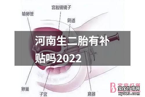 河南生二胎有补贴吗2022