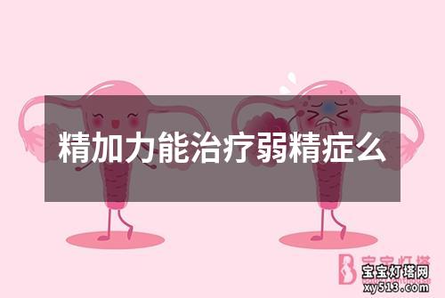 精加力能治疗弱精症么