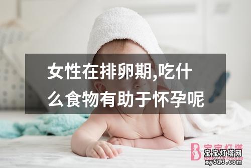 女性在排卵期,吃什么食物有助于怀孕呢