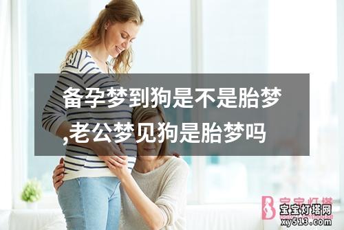 备孕梦到狗是不是胎梦,老公梦见狗是胎梦吗