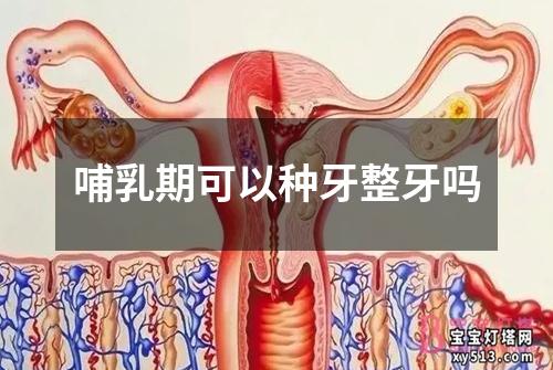 哺乳期可以种牙整牙吗