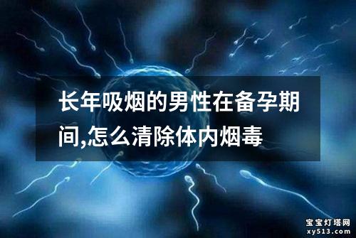 长年吸烟的男性在备孕期间,怎么清除体内烟毒