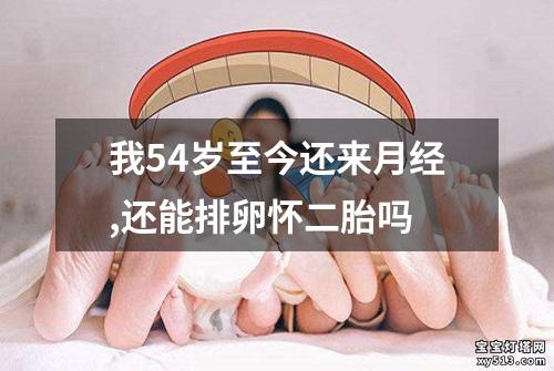 我54岁至今还来月经,还能排卵怀二胎吗