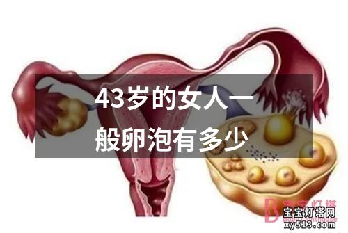 43岁的女人一般卵泡有多少