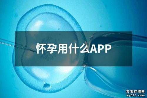 怀孕用什么APP