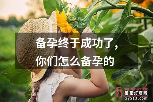 备孕终于成功了,你们怎么备孕的