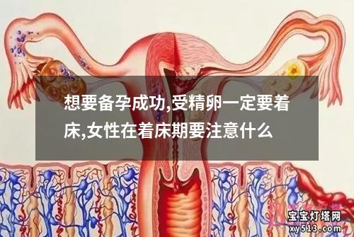 想要备孕成功,受精卵一定要着床,女性在着床期要注意什么