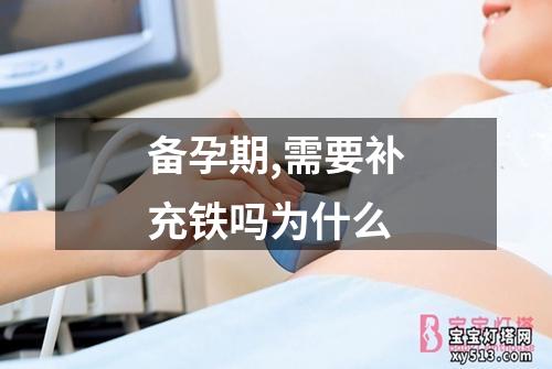 备孕期,需要补充铁吗为什么