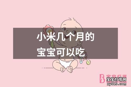 小米几个月的宝宝可以吃