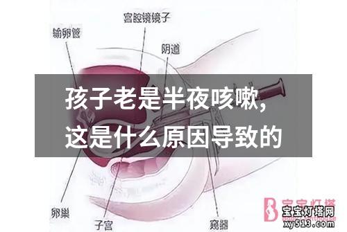 孩子老是半夜咳嗽,这是什么原因导致的