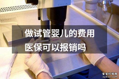 做试管婴儿的费用医保可以报销吗