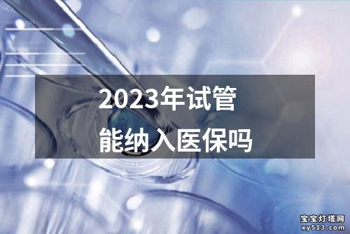 2023年试管能纳入医保吗