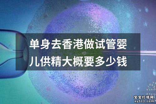 单身去香港做试管婴儿供精大概要多少钱