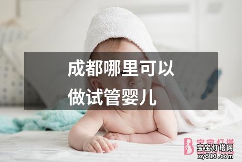 成都哪里可以做试管婴儿