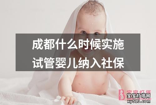 成都什么时候实施试管婴儿纳入社保