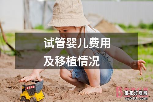 试管婴儿费用及移植情况