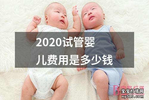 2020试管婴儿费用是多少钱