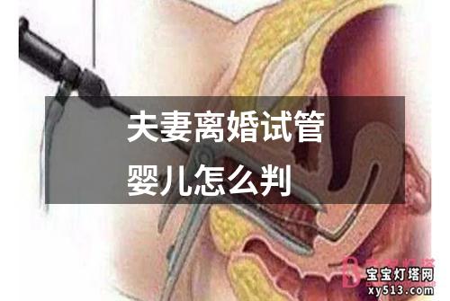 夫妻离婚试管婴儿怎么判