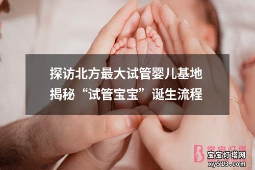 探访北方最大试管婴儿基地 揭秘“试管宝宝”诞生流程