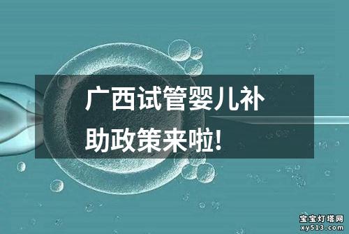 广西试管婴儿补助政策来啦!