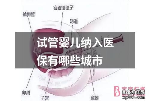 试管婴儿纳入医保有哪些城市