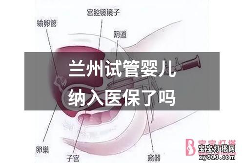 兰州试管婴儿纳入医保了吗