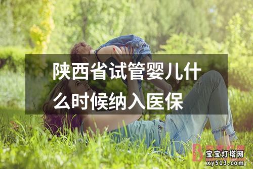 陕西省试管婴儿什么时候纳入医保