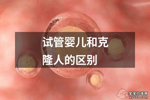 试管婴儿和克隆人的区别