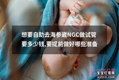 想要自助去海参崴NGC做试管要多少钱,要提前做好哪些准备