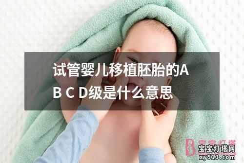 试管婴儿移植胚胎的A B C D级是什么意思