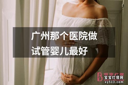 广州那个医院做试管婴儿最好