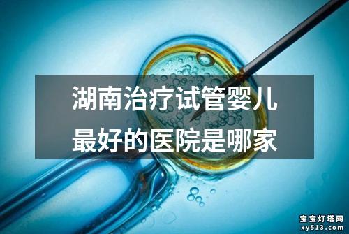 湖南治疗试管婴儿最好的医院是哪家