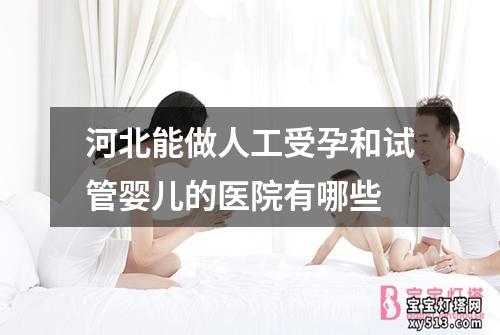 河北能做人工受孕和试管婴儿的医院有哪些