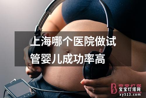 上海哪个医院做试管婴儿成功率高