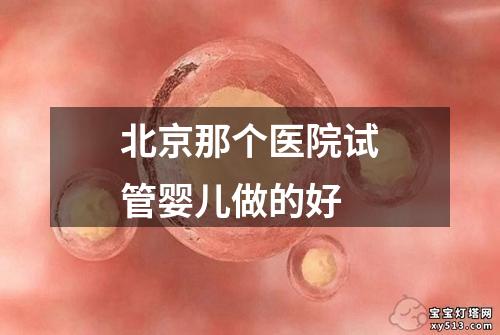 北京那个医院试管婴儿做的好