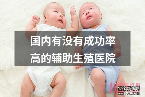 国内有没有成功率高的辅助生殖医院