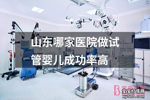 山东哪家医院做试管婴儿成功率高