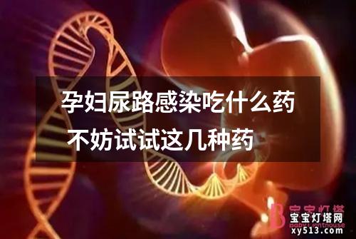 孕妇尿路感染吃什么药 不妨试试这几种药