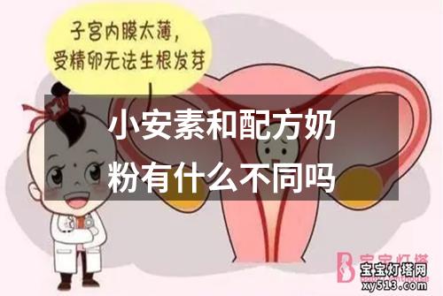 小安素和配方奶粉有什么不同吗