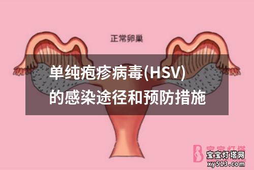 单纯疱疹病毒(HSV)的感染途径和预防措施