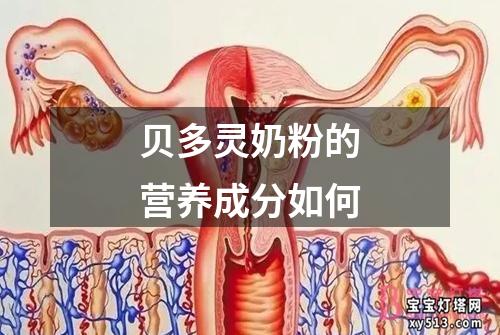 贝多灵奶粉的营养成分如何