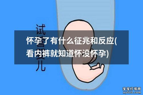 怀孕了有什么征兆和反应(看内裤就知道怀没怀孕)