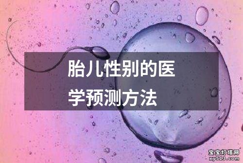 胎儿性别的医学预测方法