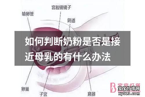 如何判断奶粉是否是接近母乳的有什么办法