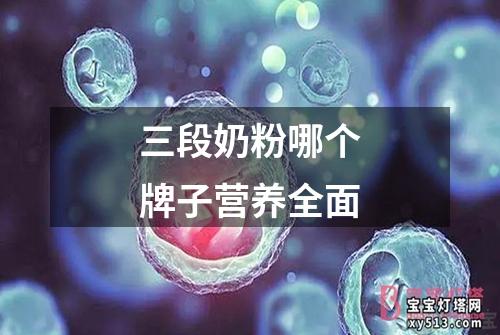 三段奶粉哪个牌子营养全面