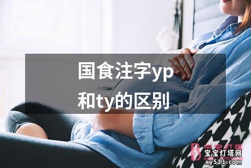 国食注字yp和ty的区别