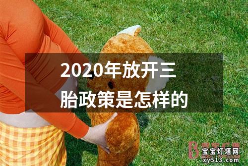 2020年放开三胎政策是怎样的