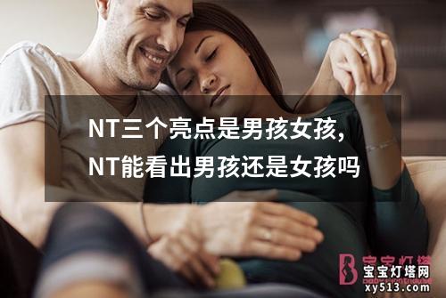 NT三个亮点是男孩女孩,NT能看出男孩还是女孩吗