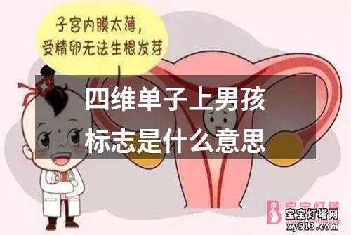 四维单子上男孩标志是什么意思